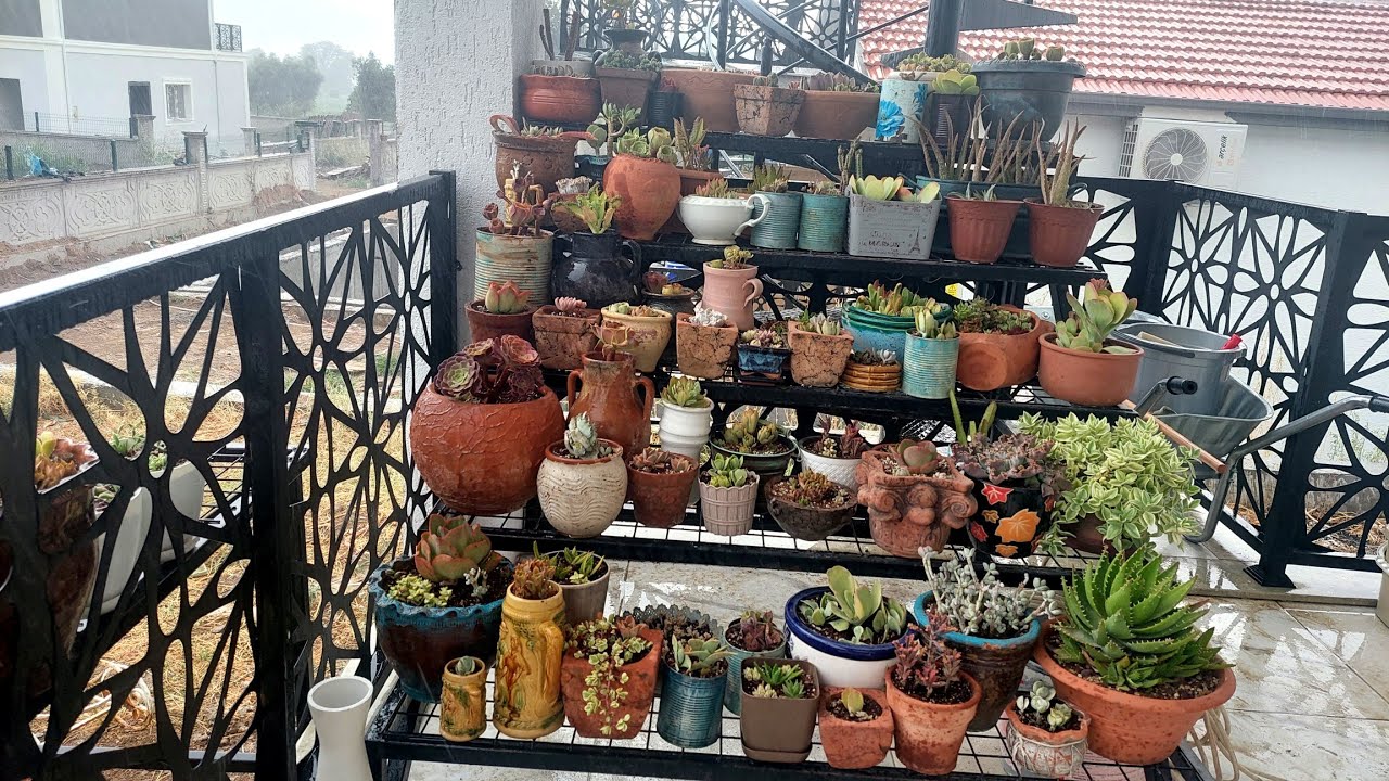 Köy Evime Taşındım