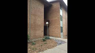 New Residential listing for rent found at 5850 Forest View Road # E, Lisle, IL 60532