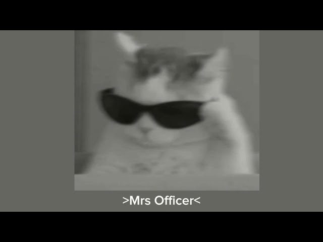 Mrs.Officer ~ Lil Wayne (speed up) uwiwiwi class=