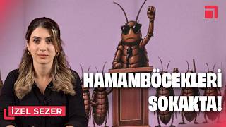 Bir şakayla başladı, iktidarın kabusu oldu: Hamamböceği Halk Partisi! / İzel Sezer ile Deşifre