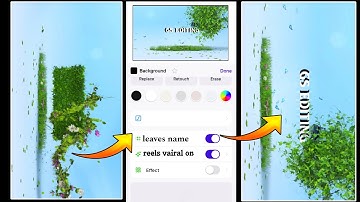 Flying Leaves Name Video Editing | InstagramTrending Reels Editing | VN new editing