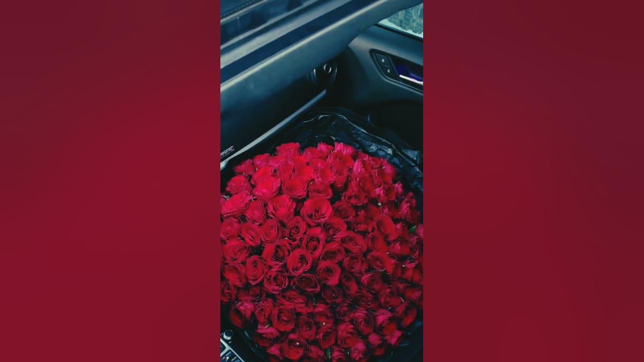 Рози Червоні - YouTube