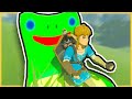 THE MOST CURSED BREATH OF THE WILD MODS