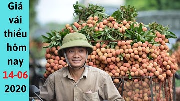 Giá vải thiều mới nhất hôm nay 14/6/2020-Cập Nhật Giá thiều Vải lục Ngạn hôm nay|xuất khẩu vải thiều