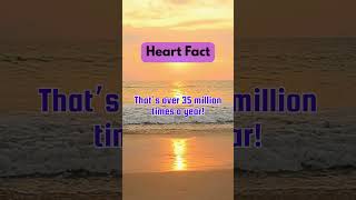 #heart #facts #shorts #fyp #viralvideos #quotes #saturday #jakarta #indonesia #singapore