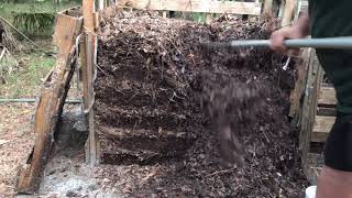 Pallet oak leaf composting bin inspection at around 60 days Pallet Oak Leaf Composting Bin Inspection At Around 30 Days