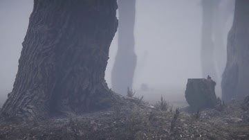 Unity - Photogrammetry Tree HDRP