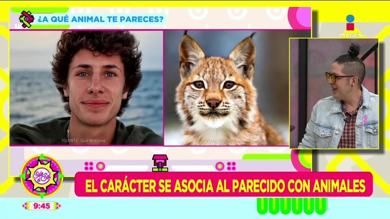 Dime A Qué Animal Te Pareces Y Te Diré Quien Eres Sale El Sol Youtube
