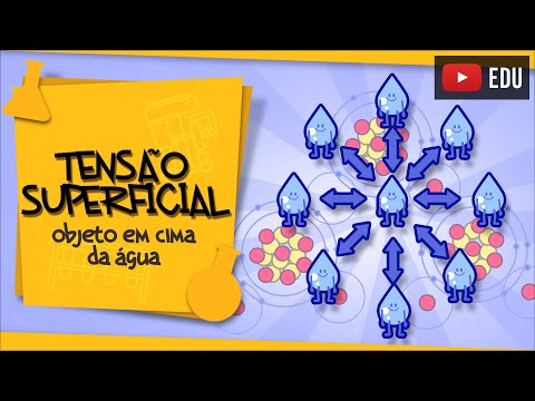 Vídeo: O que é tensão superficial para crianças?