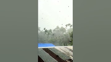 Cyclone hit Assam || অসমত বতাহ ধুমুহা || Northeast India ||