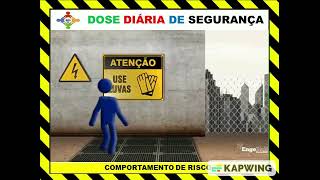 Dds Comportamento De Risco.