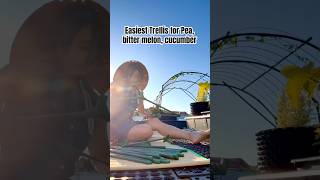 How I Built a Trellis for My Garden Fast!