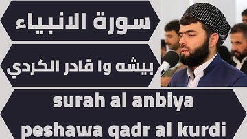 اجمل تلاوة لسورة الانبياء بيشه وا قادر الكردي quran surah al anbiya peshawa qadr al kurdi