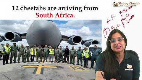 South Africa is Sending More Cheetahs - Here