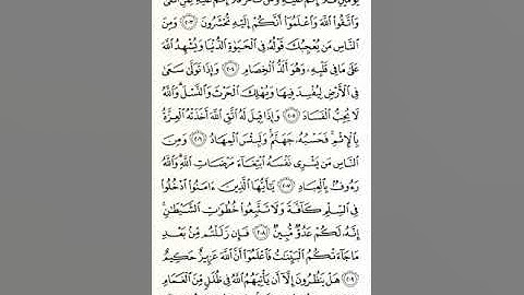 القران الكريم - عبدالرشيد صوفي الصفحة 32