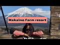 Makaino farm Breathtaking Mt Fuji Views