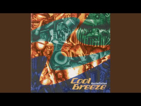 【中古】 Assimilation CD Cool Breeze Cool Breeze – Assimilation – 2 x Vinyl (LP, White Label, Promo