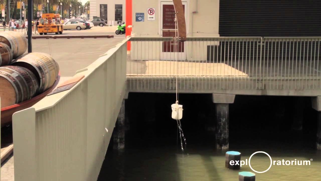 We Make the Treasure by Paul Ramirez Jonas | Exploratorium