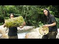 How to make a fish trap in bamboo, Wilderness Alone, ep 160