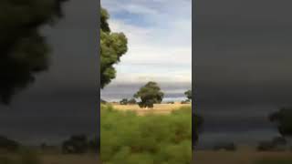 Adelaide to Melbourne V/Line Coach & Train Trip April 2025 #travel #australia