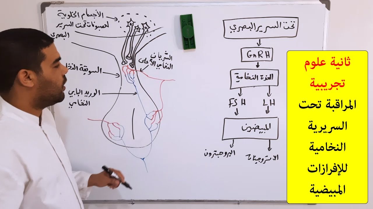المراقبة تحت السريرية النخامية للإفرازات المبيضية حسب موسم 2022/2021