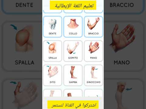 تعليم اللغة الإيطالية اسماء اعضاء الجسم بالايطالي تعلم اكسبلور اللغة الايطالية ايطاليا 