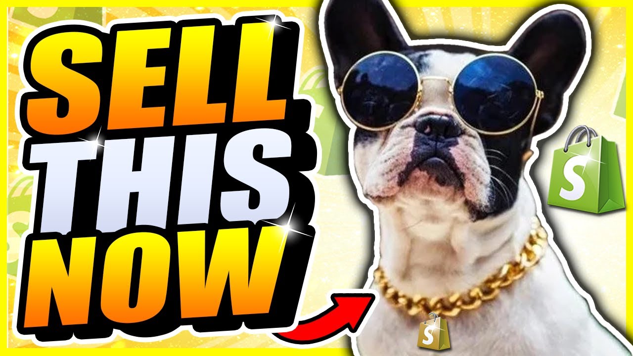 10 Best Selling Products on Shopify 2020 (Sell This Now #55)