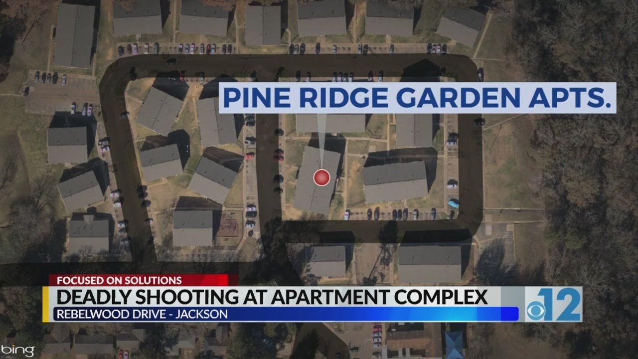 Man shot and killed at Pine Ridge Garden Apartments in Jackson YouTube