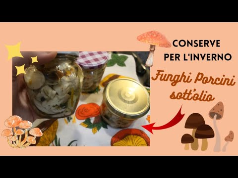 Video: Funghi porcini marinati per l'inverno