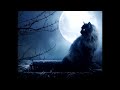 Cry Of Fear OST Never Extended 