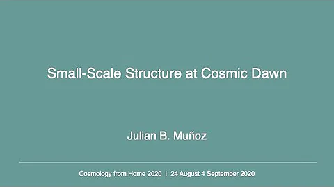 Julian B. Muoz | Small-Scale Structure at Cosmic D...