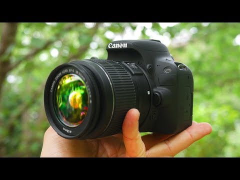 BEST Beginner DSLR Camera 2018!