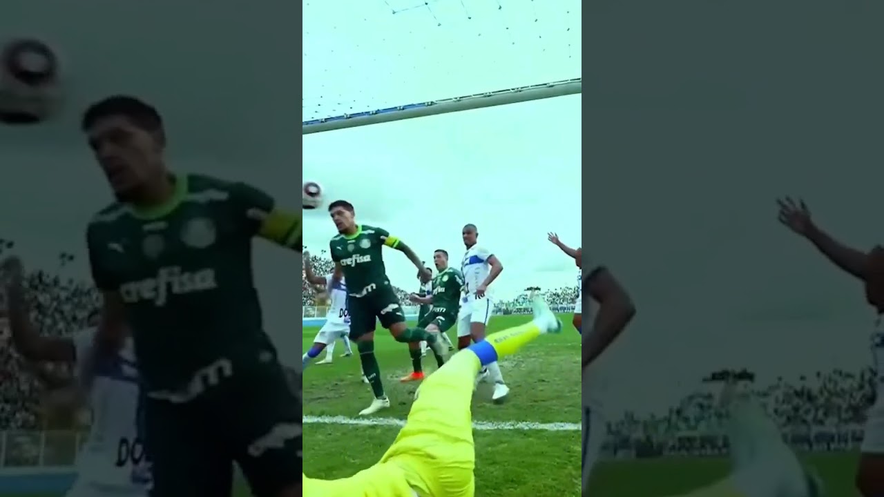 RONY FEZ O GOL DA VITÓRIA | ÁGUA SANTA 0X1 PALMEIRAS