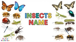  Insect Names in English for Kids 🐜🦋🐝 | Learn 30 Insects Names in English & Urdu | Kids Learning