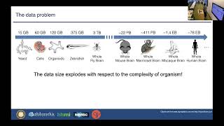 Contributed Talk- Petabyte-scale Image Processing Toolsfor Light Sheet Microscopy Data