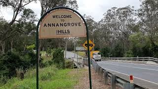 Active Termite Nest Treatment in Annangrove | A1 Pest Control
