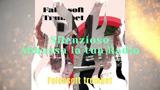 Abbassa la tua Radio  Silenzioso  -  falcesoft trumpet