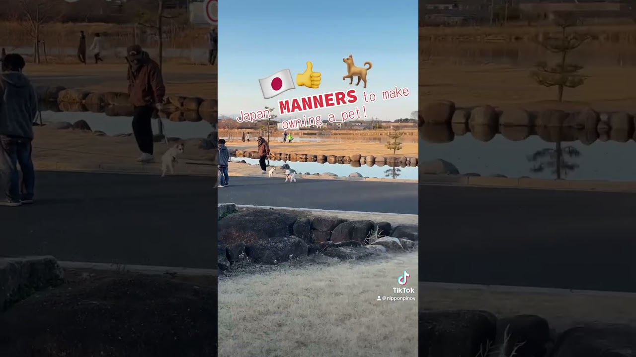 Manners that we must learn about Japan! 