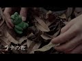 【短編映画】ラナの花