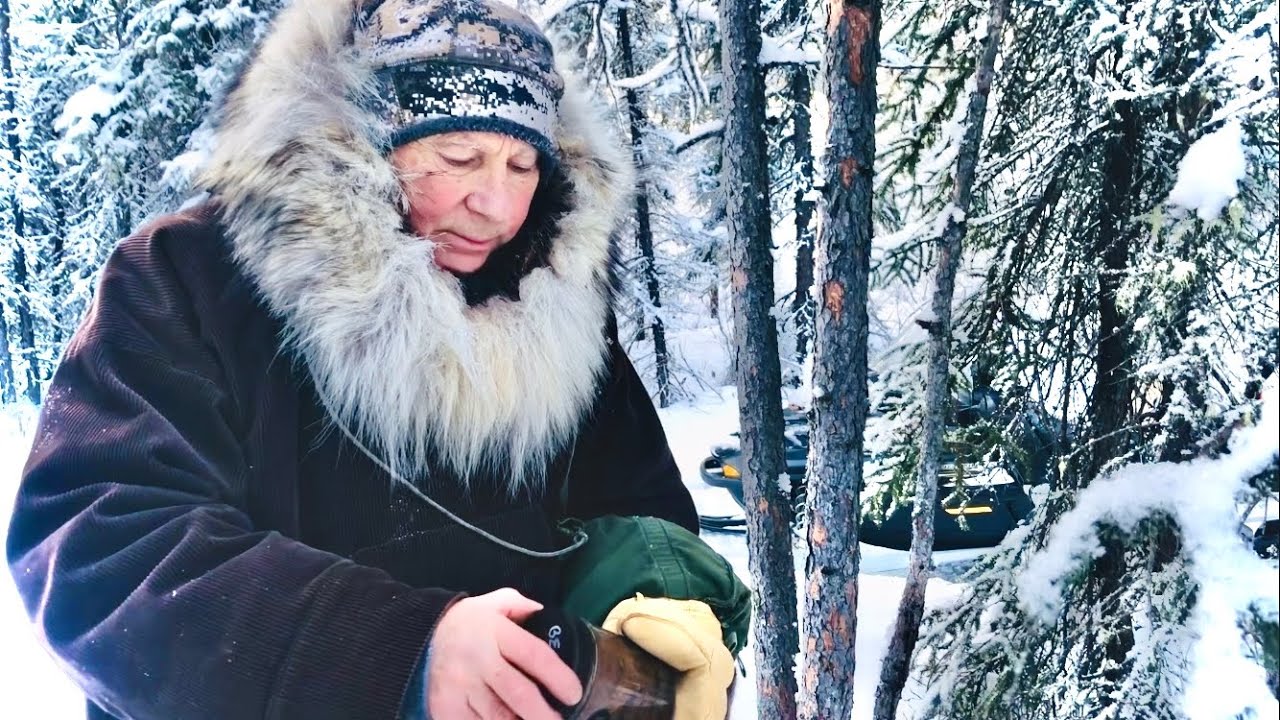 Tanana Yuut Alaska Wolf Trapping Jan 1, 2024 YouTube
