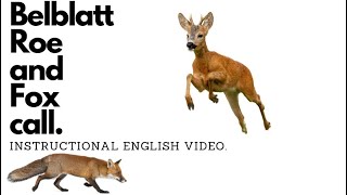 Instructional video for the Belblatt Roe and Fox call.