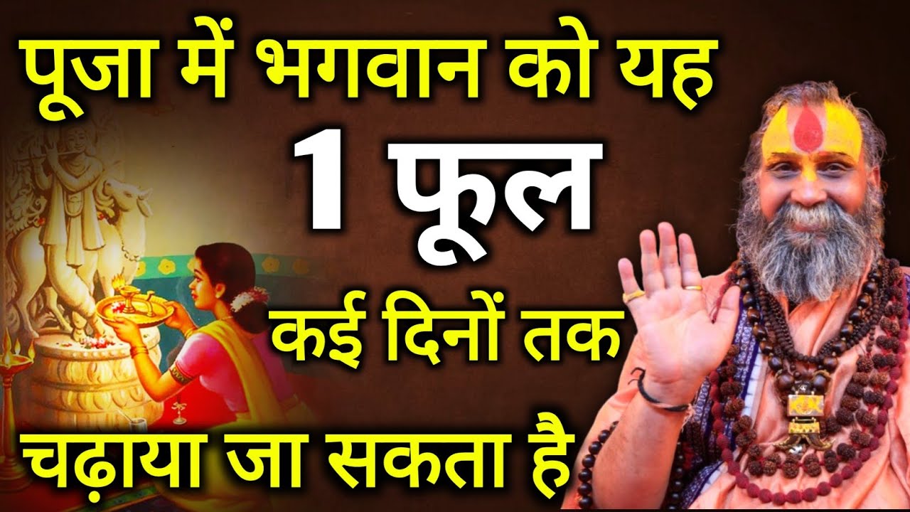 पूजा में भगवान को यह 1 फूल कई दिनों तक चढाया जा सकता है | rajendra das ji maharaj | malook peeth 