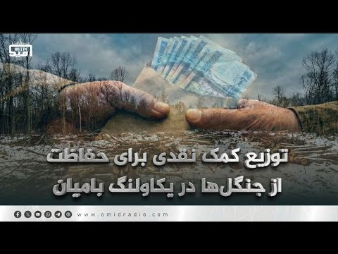 توزیع کمک نقدی برای حفاظت از جنگل ها در یکاولنگ بامیان 