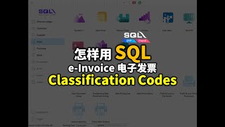 💡e-invoice45种类别号怎样用？SQL怎样设置？