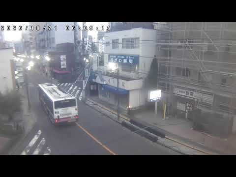 【日本即時影像】東京國立市大學通・一橋大學林蔭大道與四季櫻花銀杏絕景｜24H現場LIVE直播