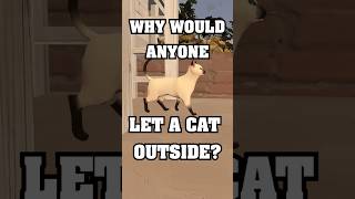Legendary Quickie: Indoor Pets #fypシ #lilsauce #sfm #comedy #funny #rant #relatable #pets #cats #dog