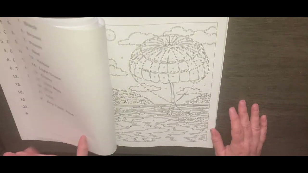 Beach Days by Color Questopia coloring book flip through - YouTube