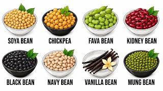 Every Most Famous Beans In World Explained