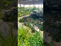 The Pond at Star Nursery
