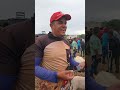 Feira de Caprinos e ovinos em tabira Pernambuco
